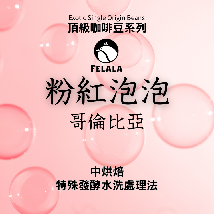 哥倫比亞 粉紅泡泡 中烘焙 特殊發酵水洗 頂級精品咖啡豆