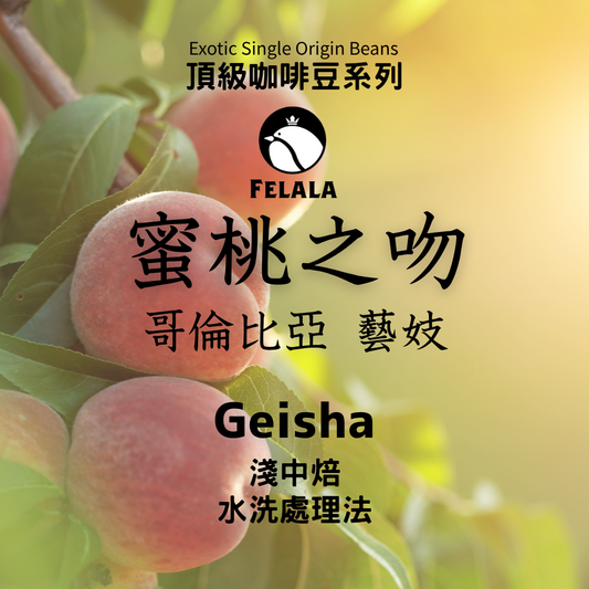 哥倫比亞 蜜桃之吻 中淺烘焙 藝伎 頂級精品咖啡豆