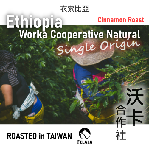 衣索比亞 耶加雪菲 沃卡合作社 日曬 Grade 1 精品咖啡豆