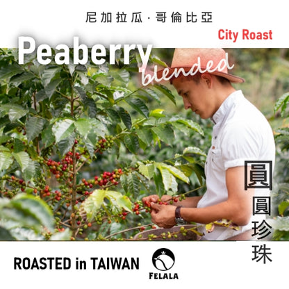 圓圓珍珠 Peaberry 精品調和咖啡豆