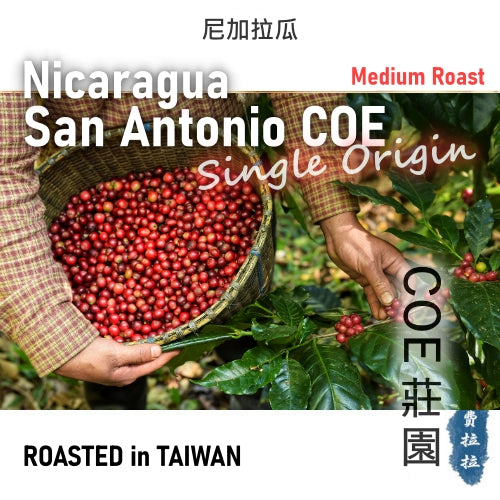 尼加拉瓜 COE 莊園 精品咖啡豆 (環保袋裝)